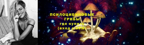 гашик Фурманов