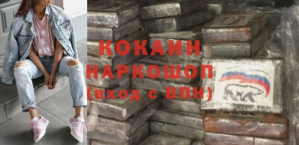 гашик Фурманов